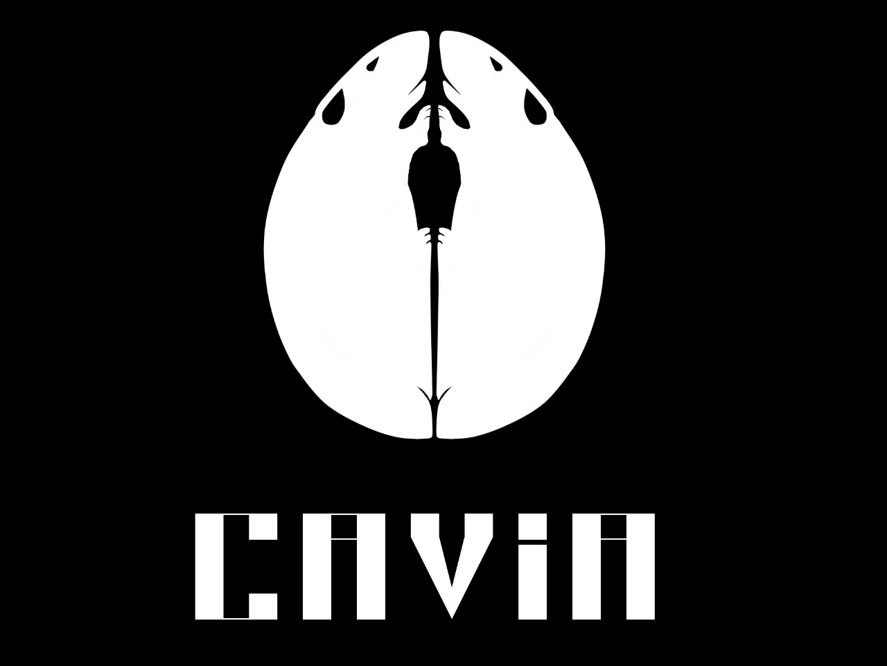 Projeto Cavia